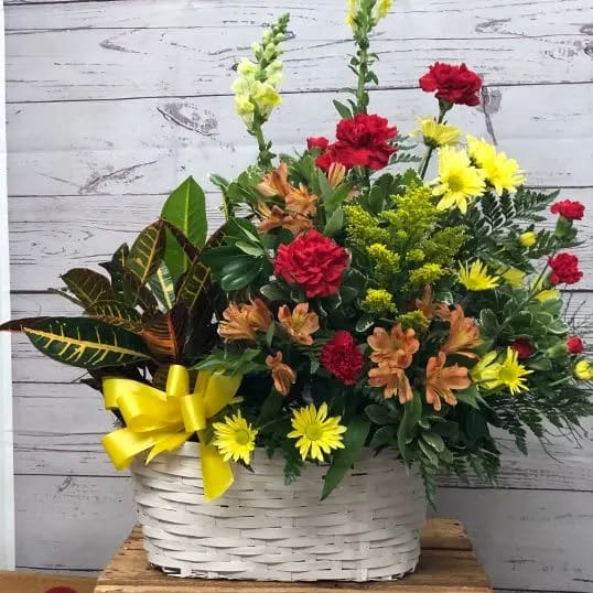 Croton Plant and Fresh Arrangement Combo Basket