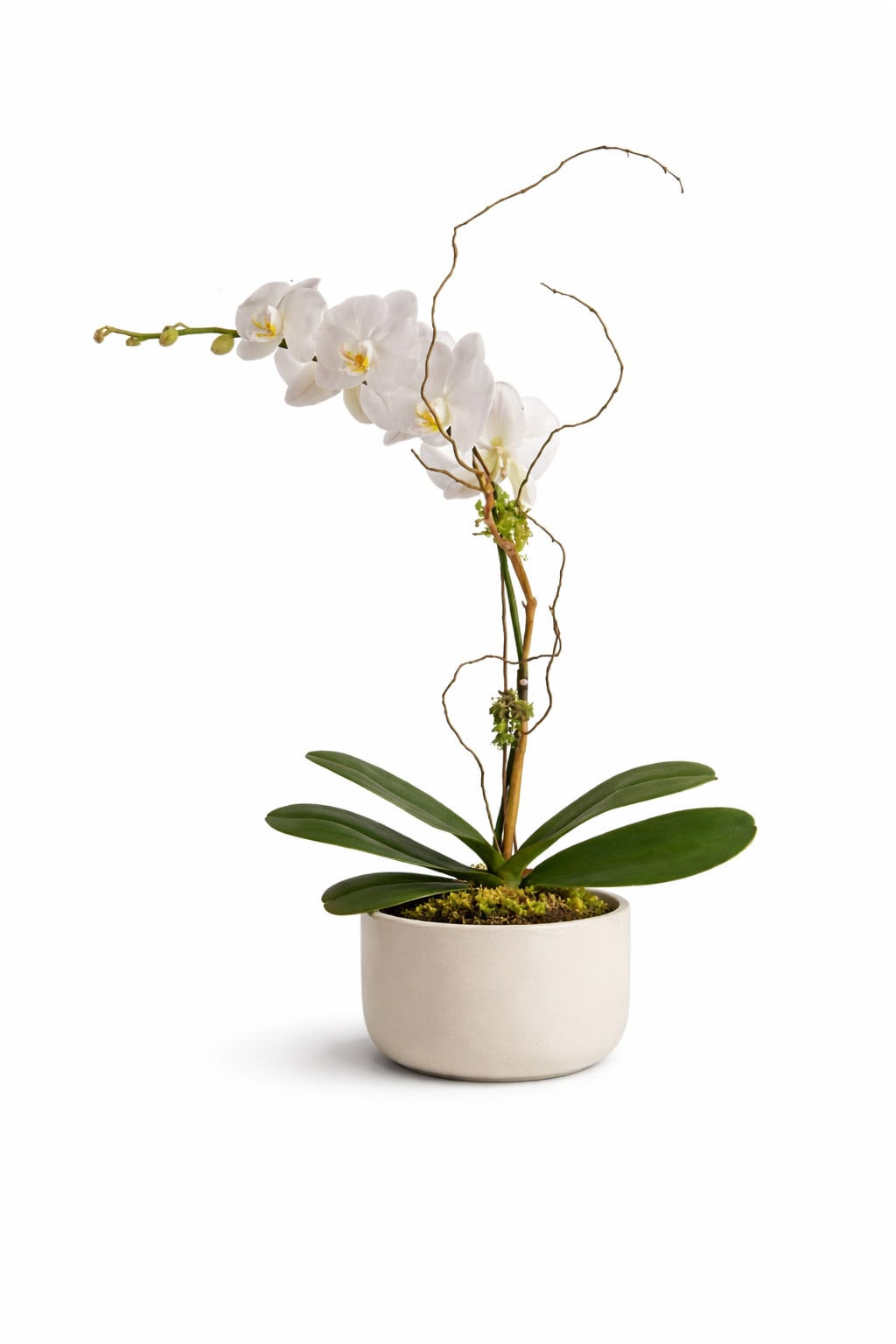 Whispering Orchid Flower Bouquet