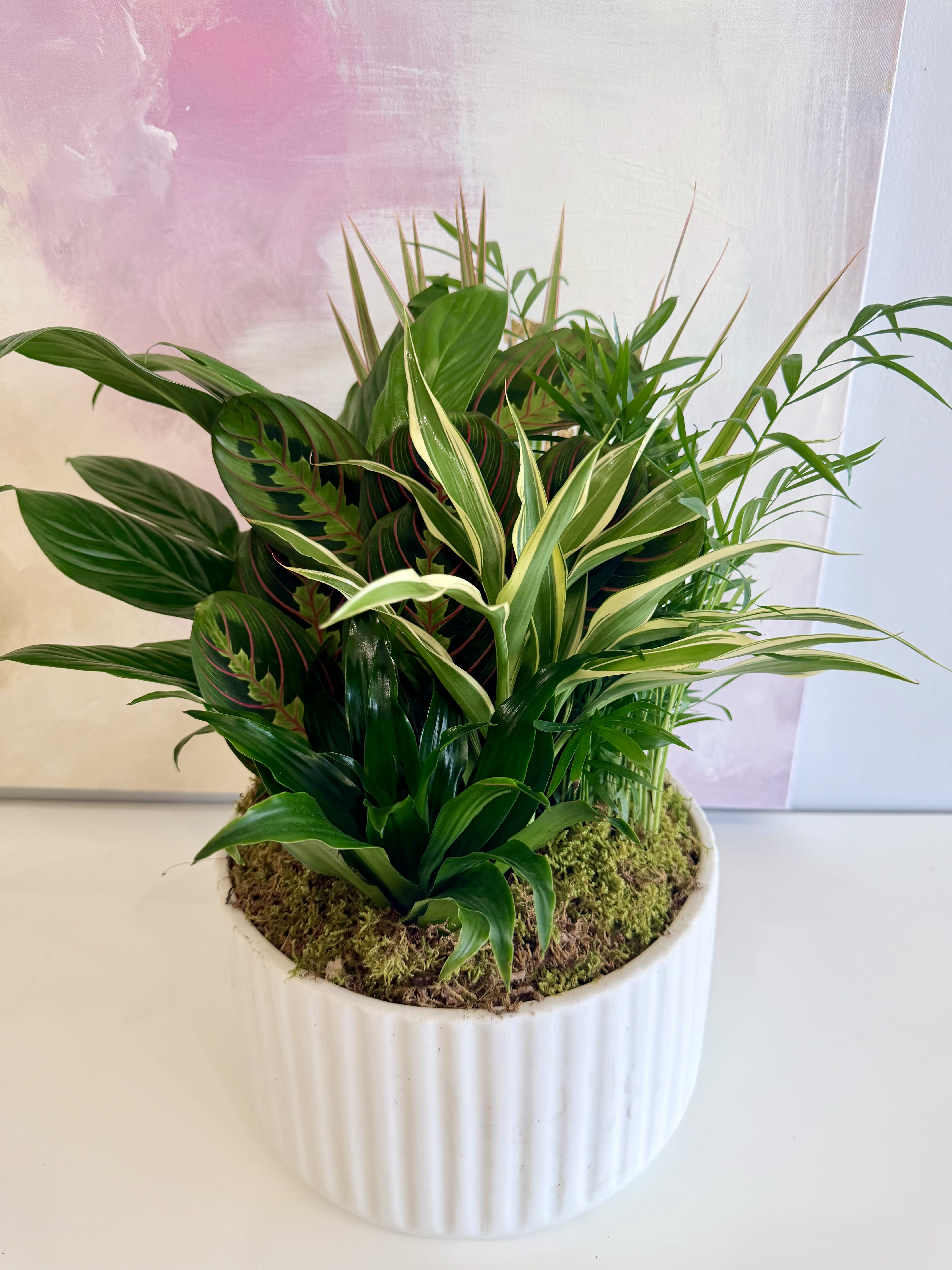 Botanical Bliss Dish Garden Flower Bouquet