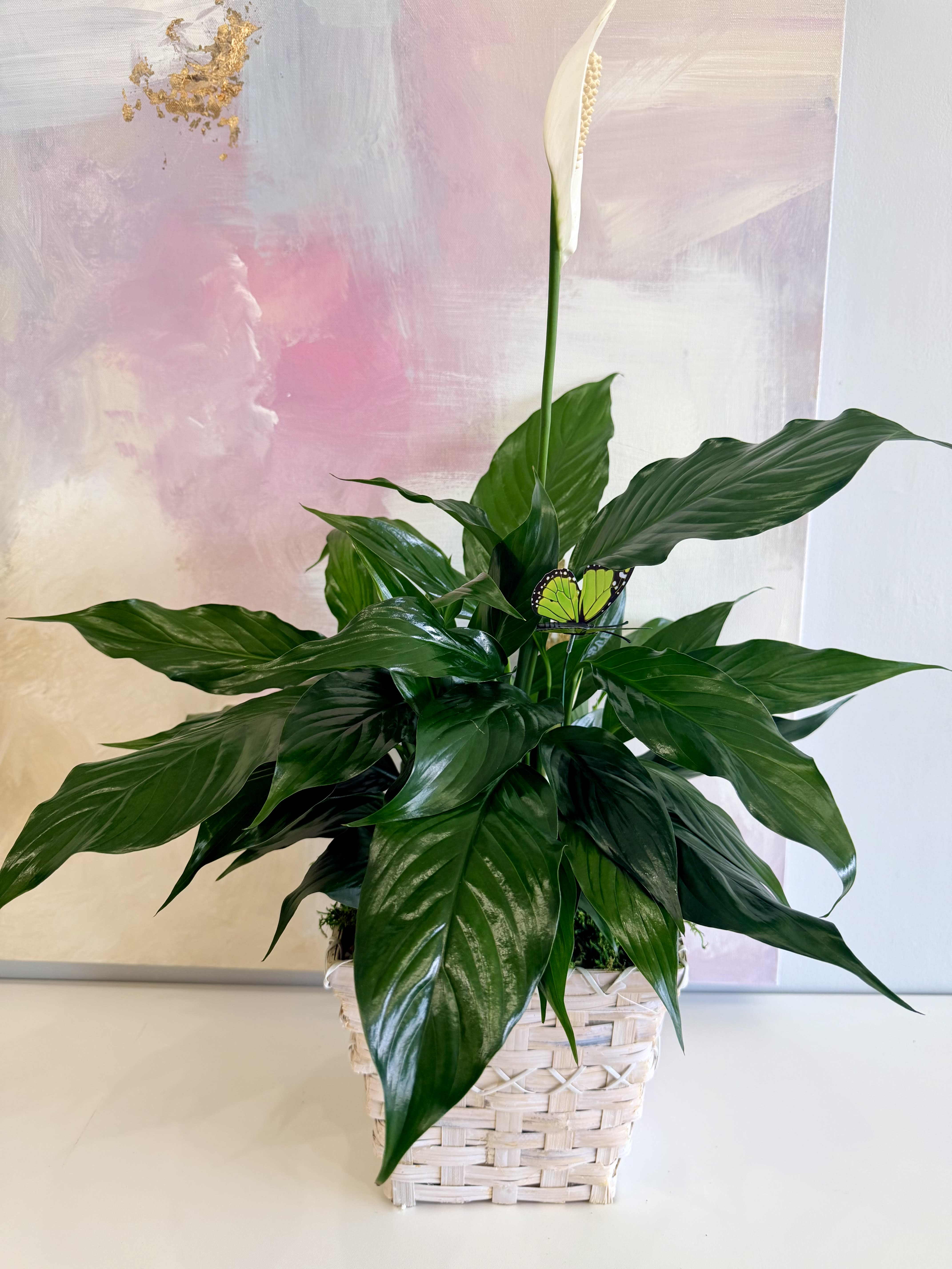 Peace Lily – In Loving Memory Flower Bouquet
