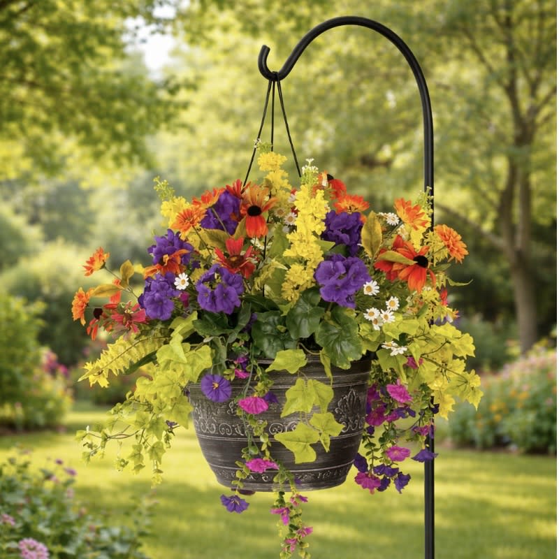 Endless Summer Everlasting Hanging Basket