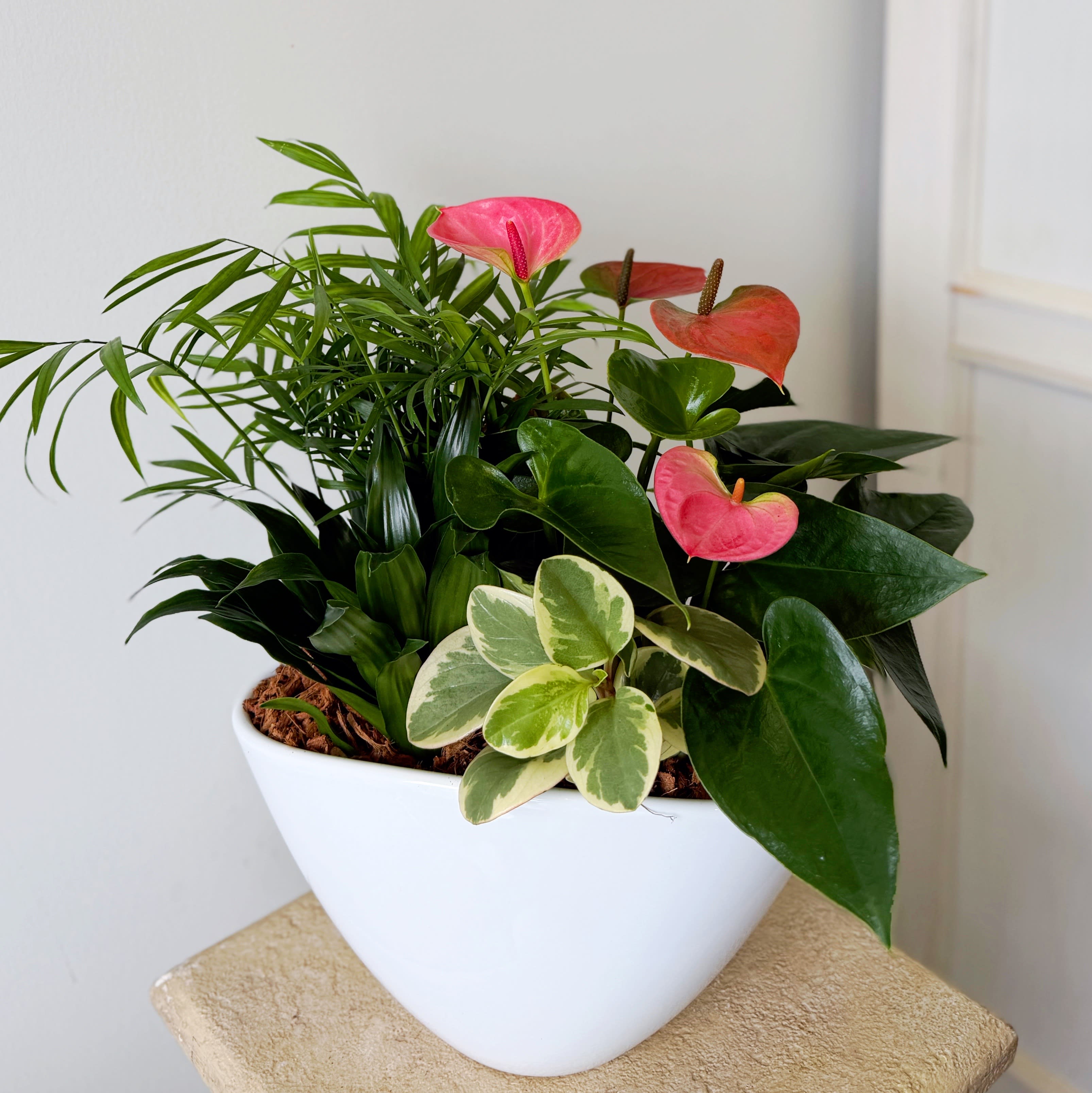 Large Eillen Planter