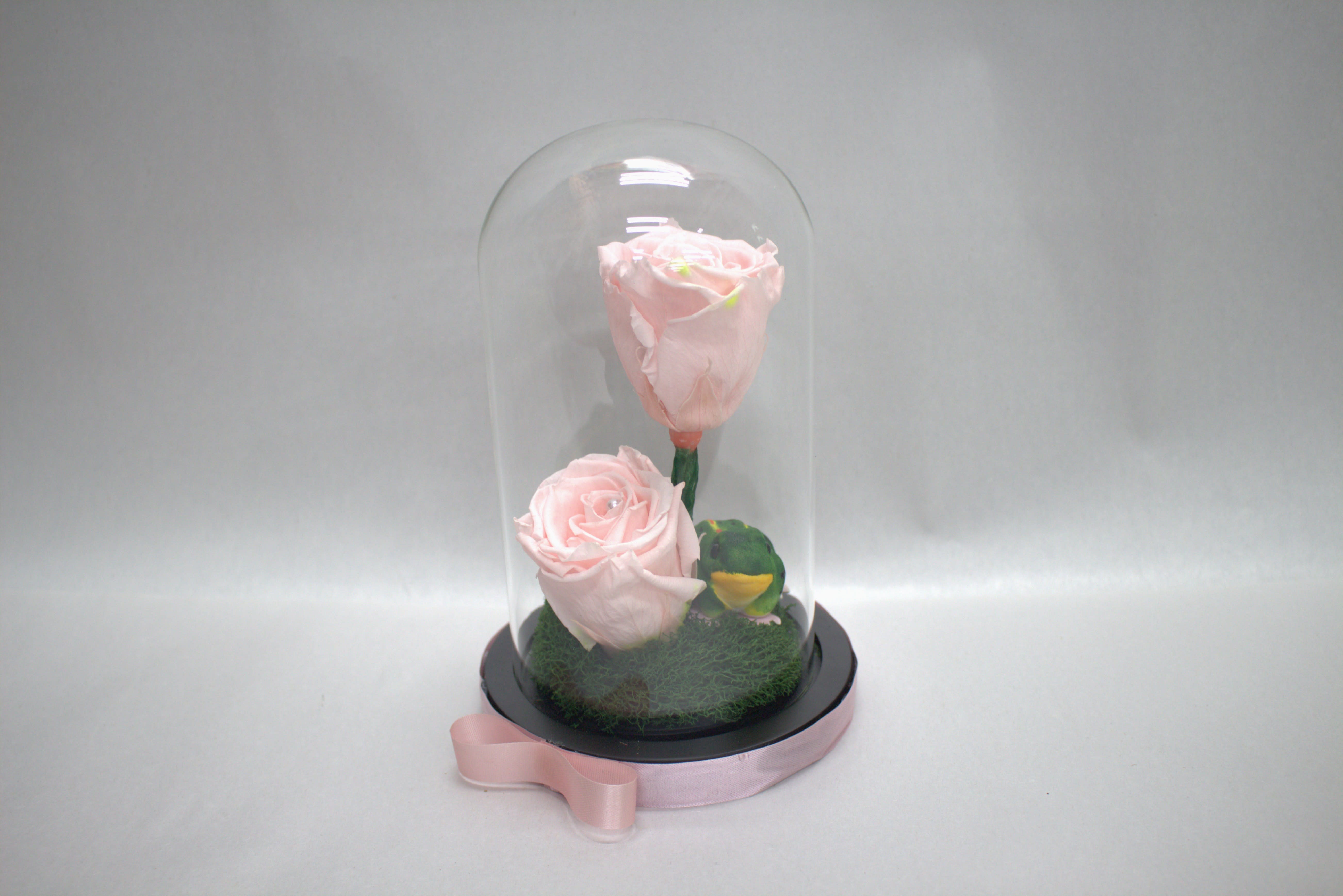 Timeless Beauty Rose Domes by Talisman Flower Bouquet