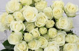 Spray Roses