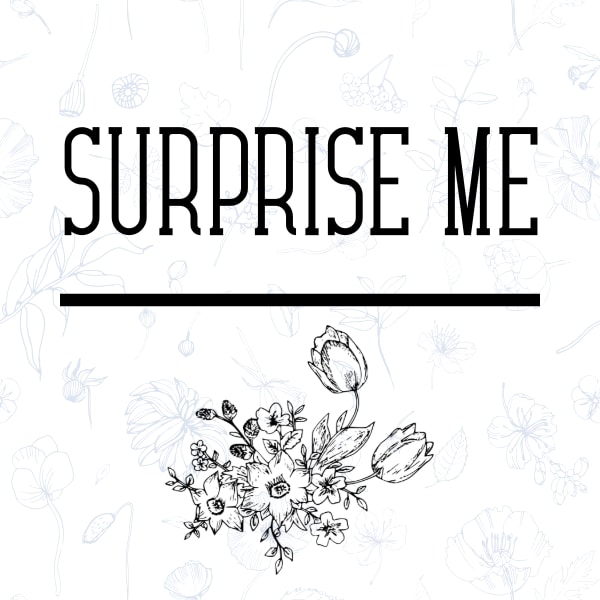 Surprise Me