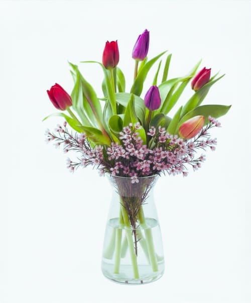 1/2 Dozen Tulip Vase Arrangement