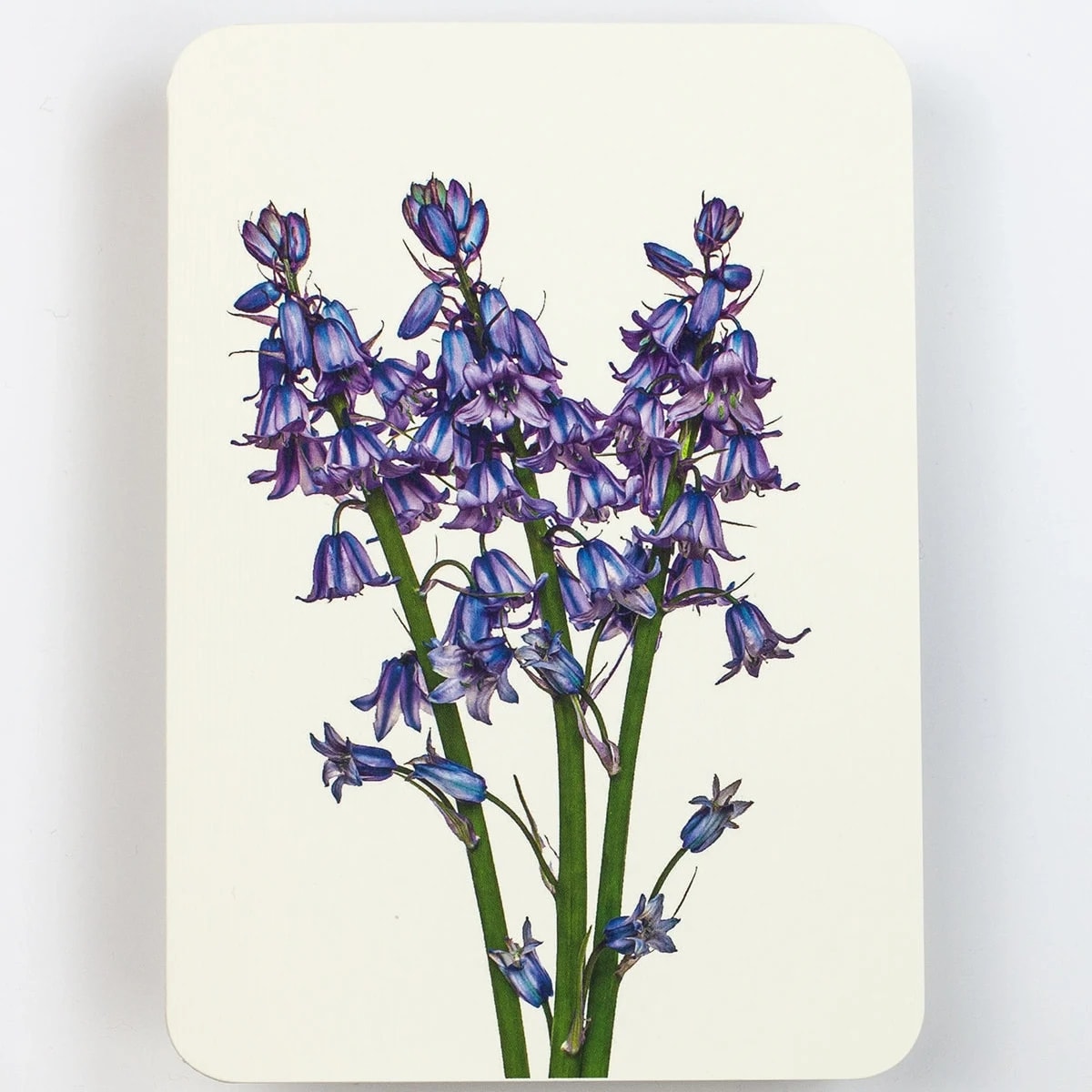 Blue Bell Card