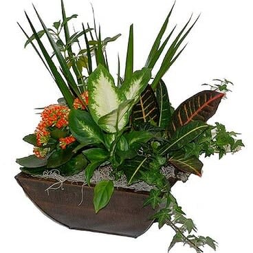 Traditional Tropical Planter Flower Bouquet
