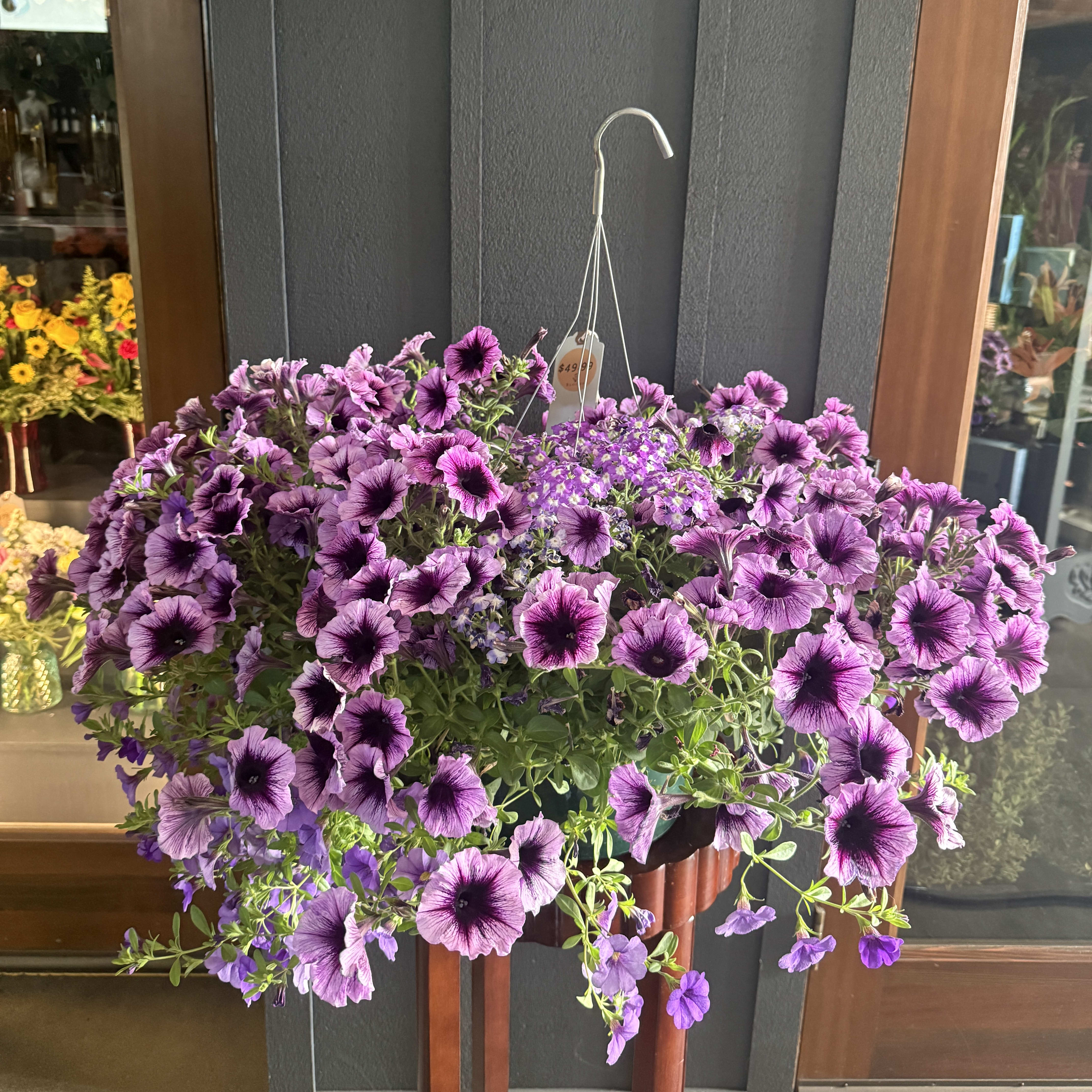 Hanging Flowering Basket (XL)