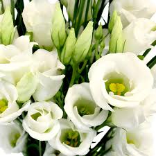 Lisianthus Flower Bouquet
