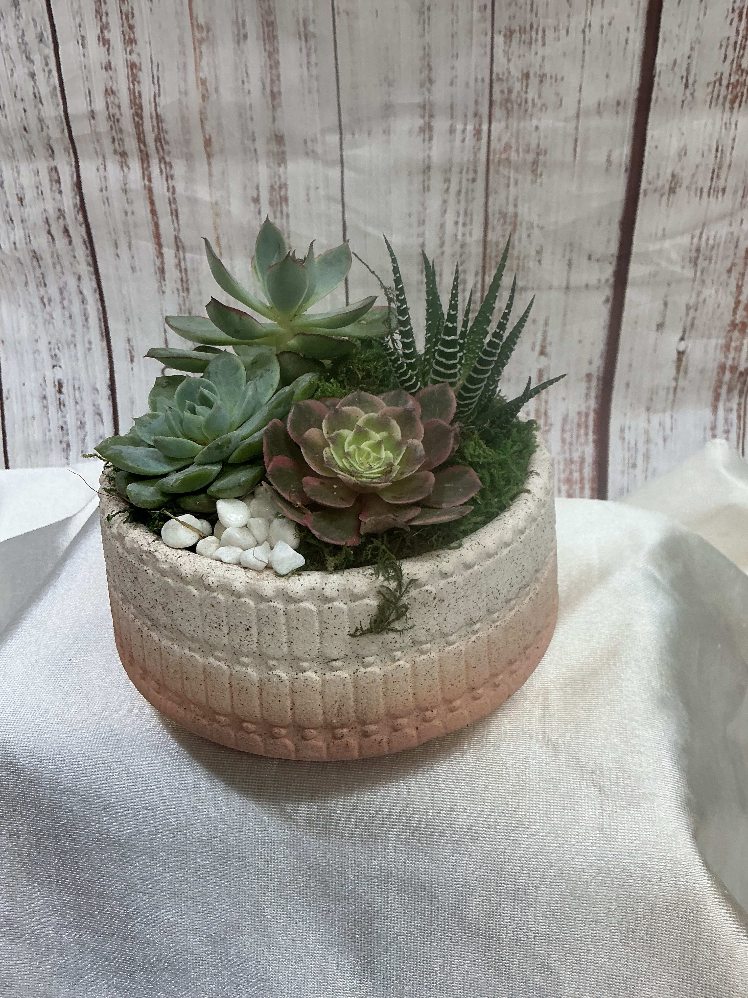 Succulent Garden