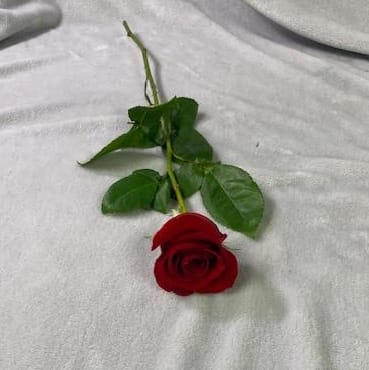 1 Rose Flower Bouquet