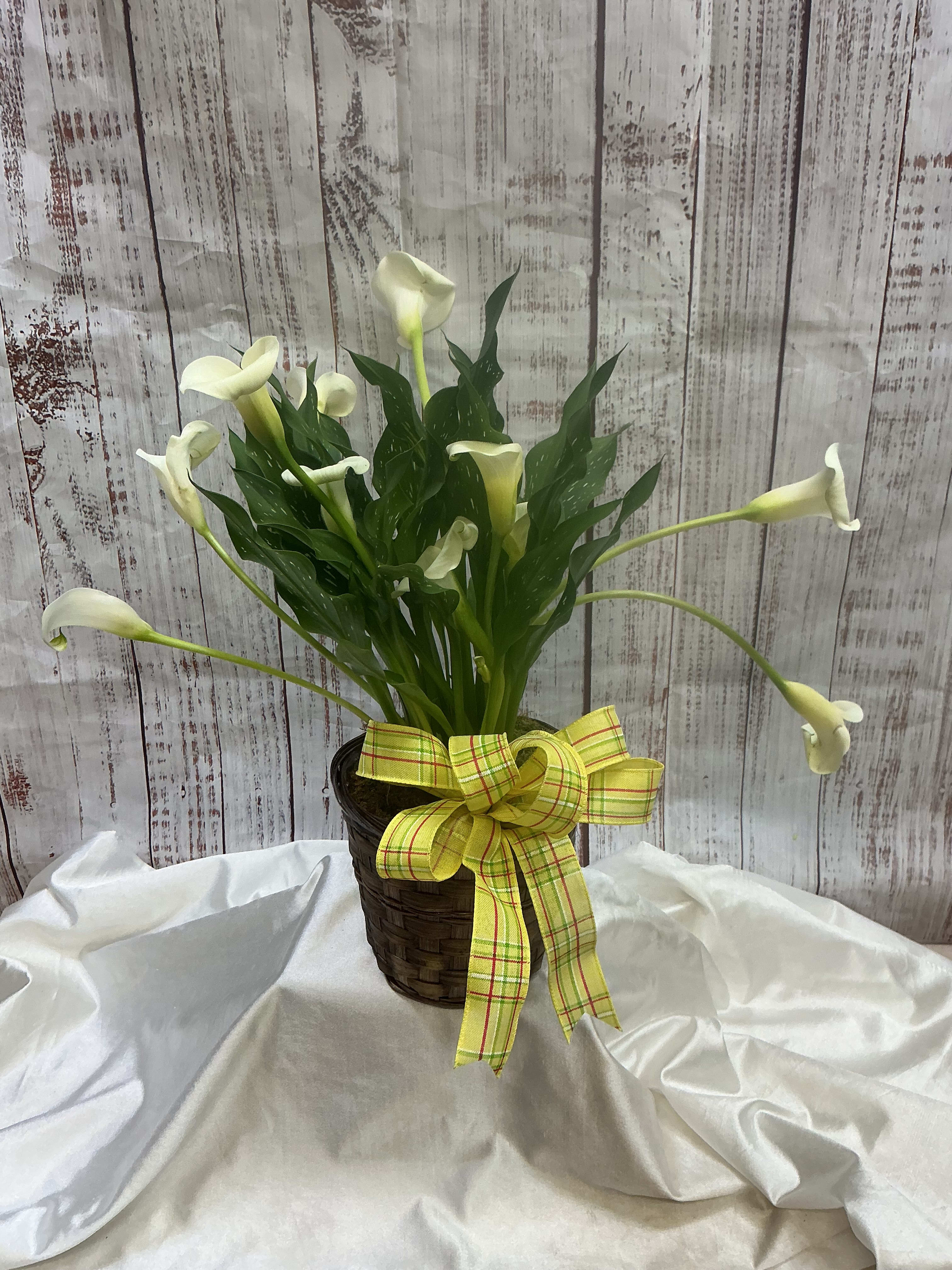 Calla Lily Blooms Flower Bouquet