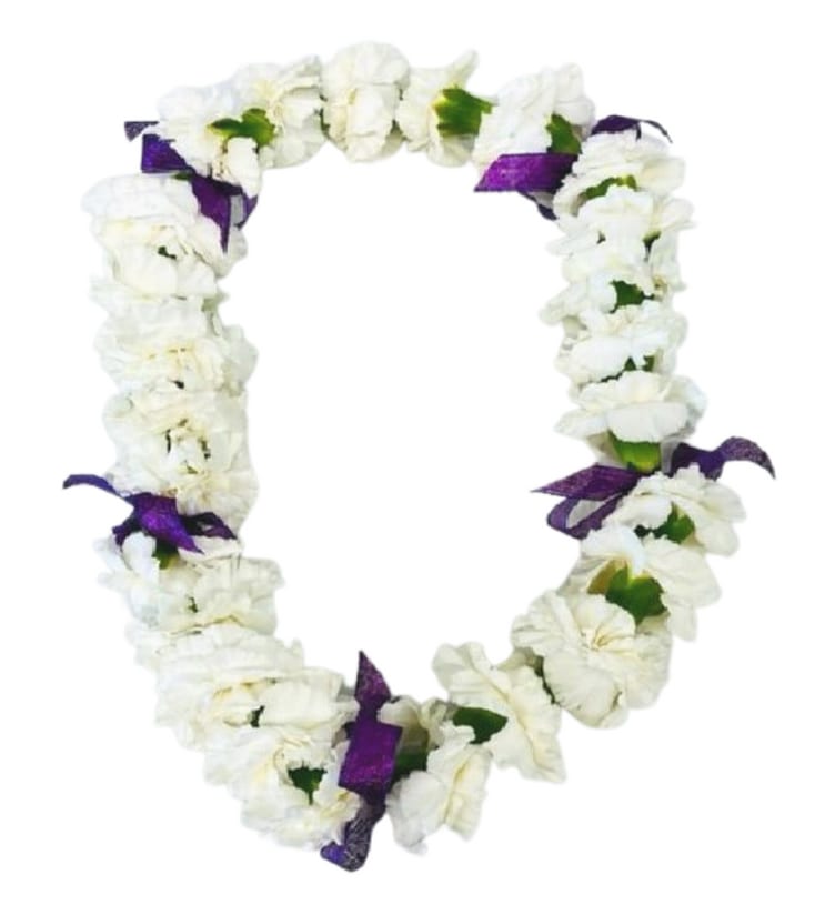 https://res.cloudinary.com/dizexseir/image/upload/v1778450278/ProImages/ymiu6ulmdext5cftvm7p.png