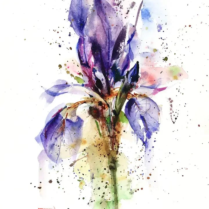 Iris Card Flower Bouquet
