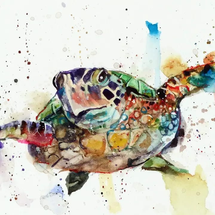 Sea Turtle