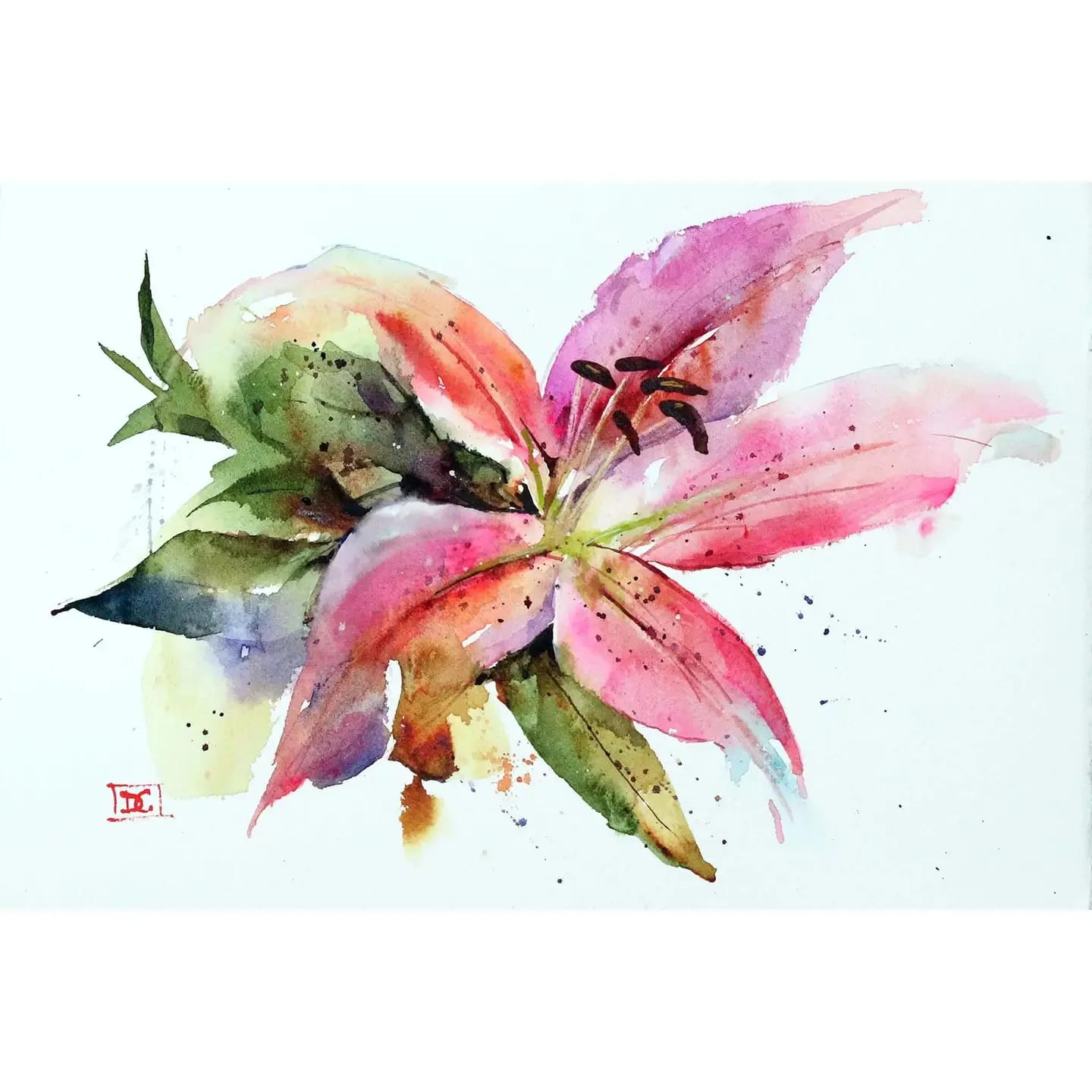 Stargazer Lily Card