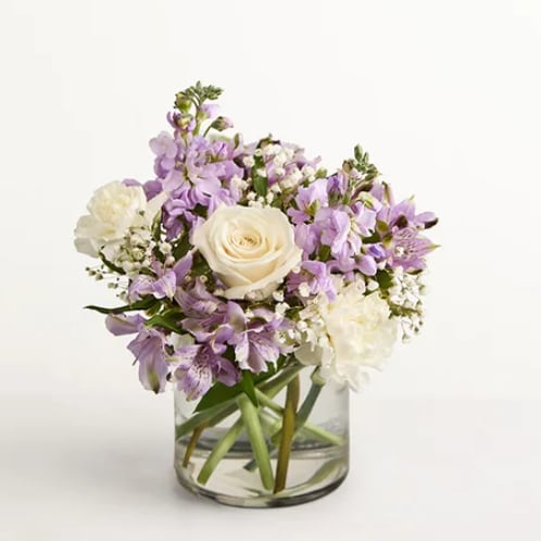 Lovely Lavender