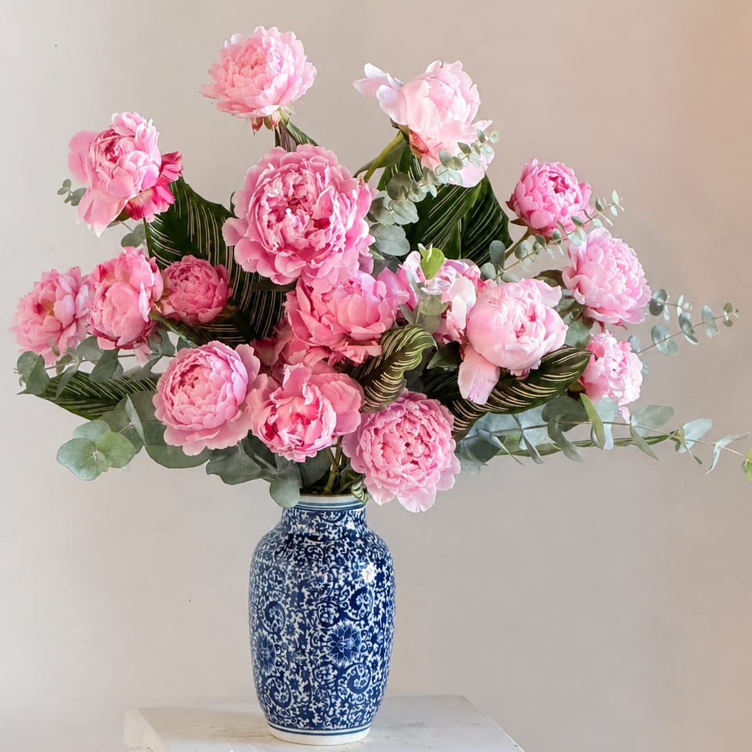 Miss Peonies