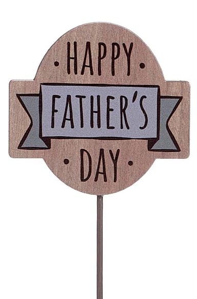 HAPPY FATHER'S DAY PICKS