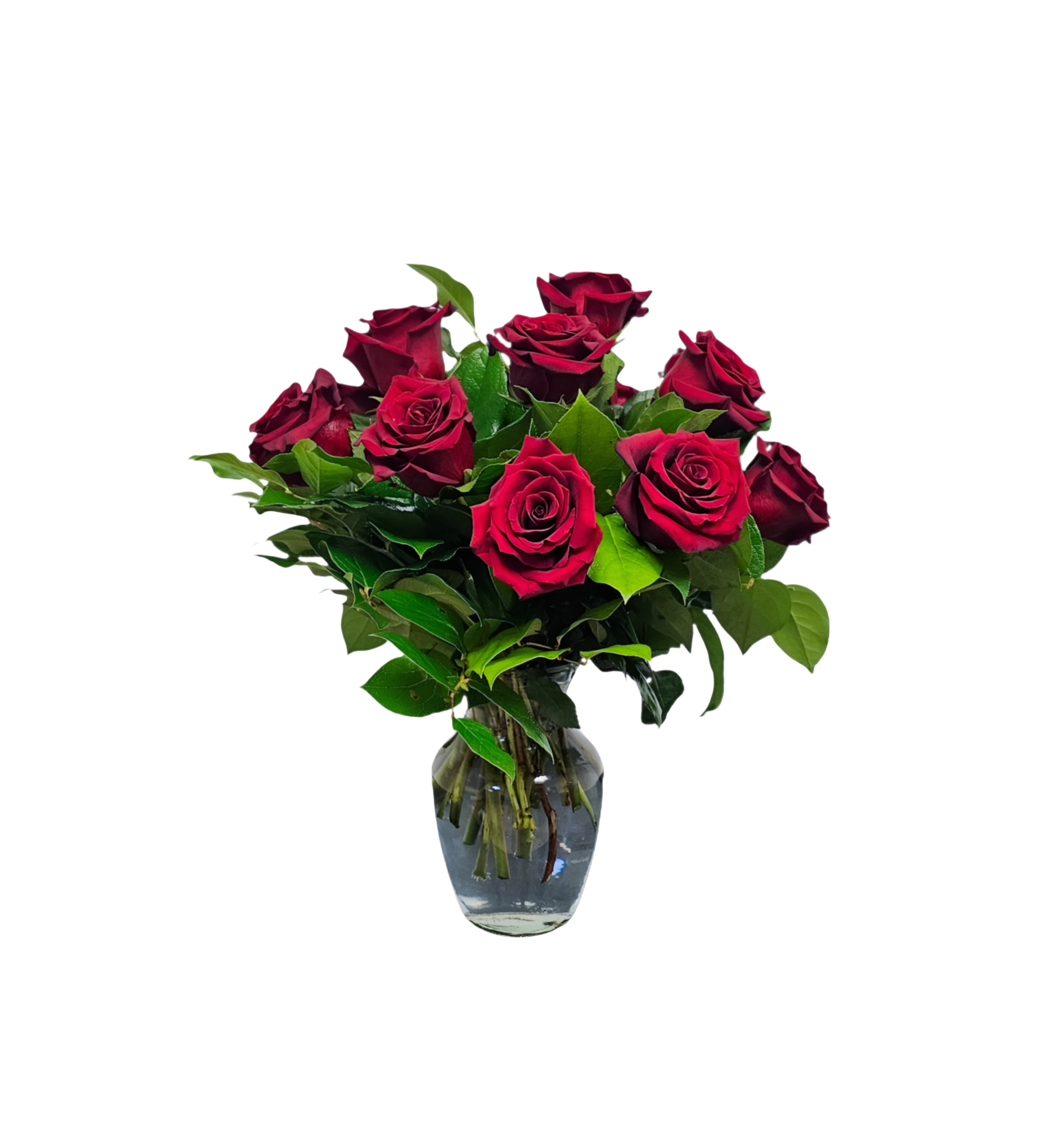 HA-5 Arreglo de 12 rosas