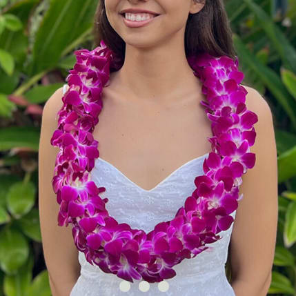 Premium Graduation Bombay Orchid Lei
