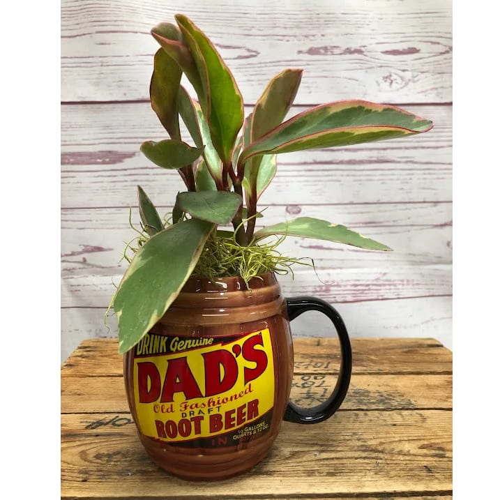 You Rock, Dad! Root Beer Mug With Green Plants Flower Bouquet