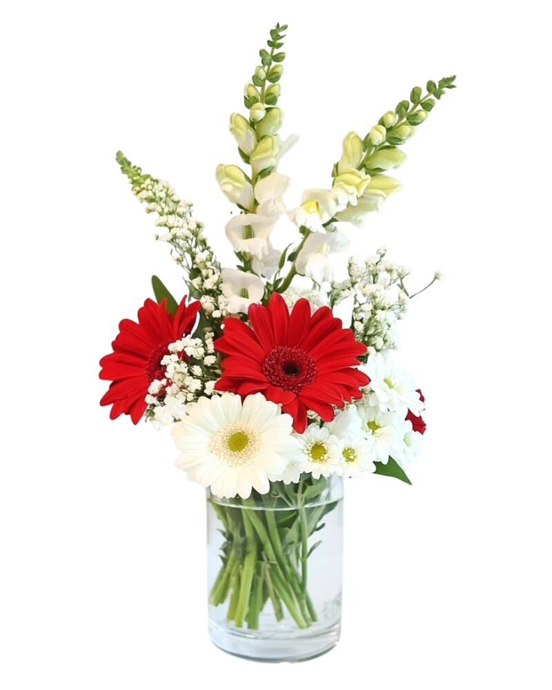 Red & White Wonder