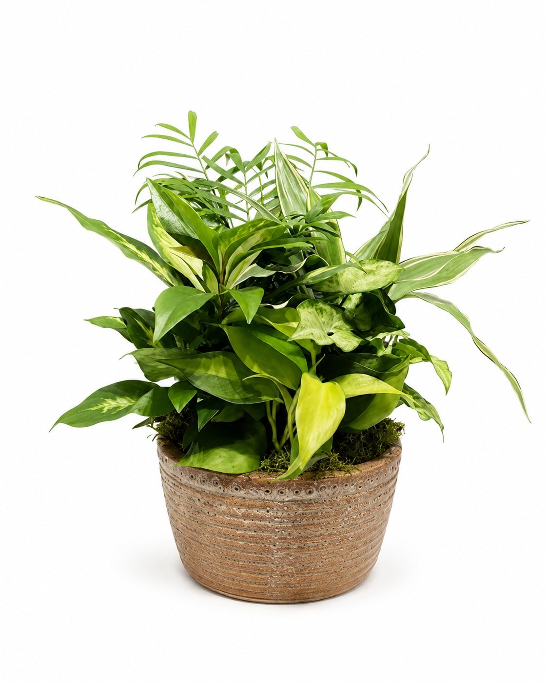Green Haven Arrangement