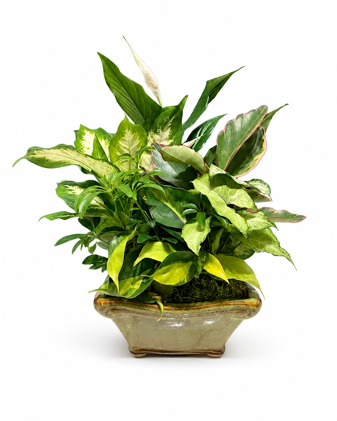 Royal Garden Planter