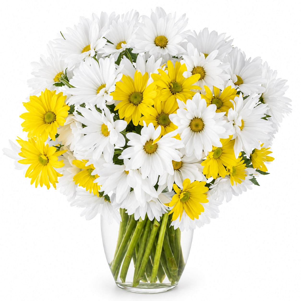 Daisy Love!