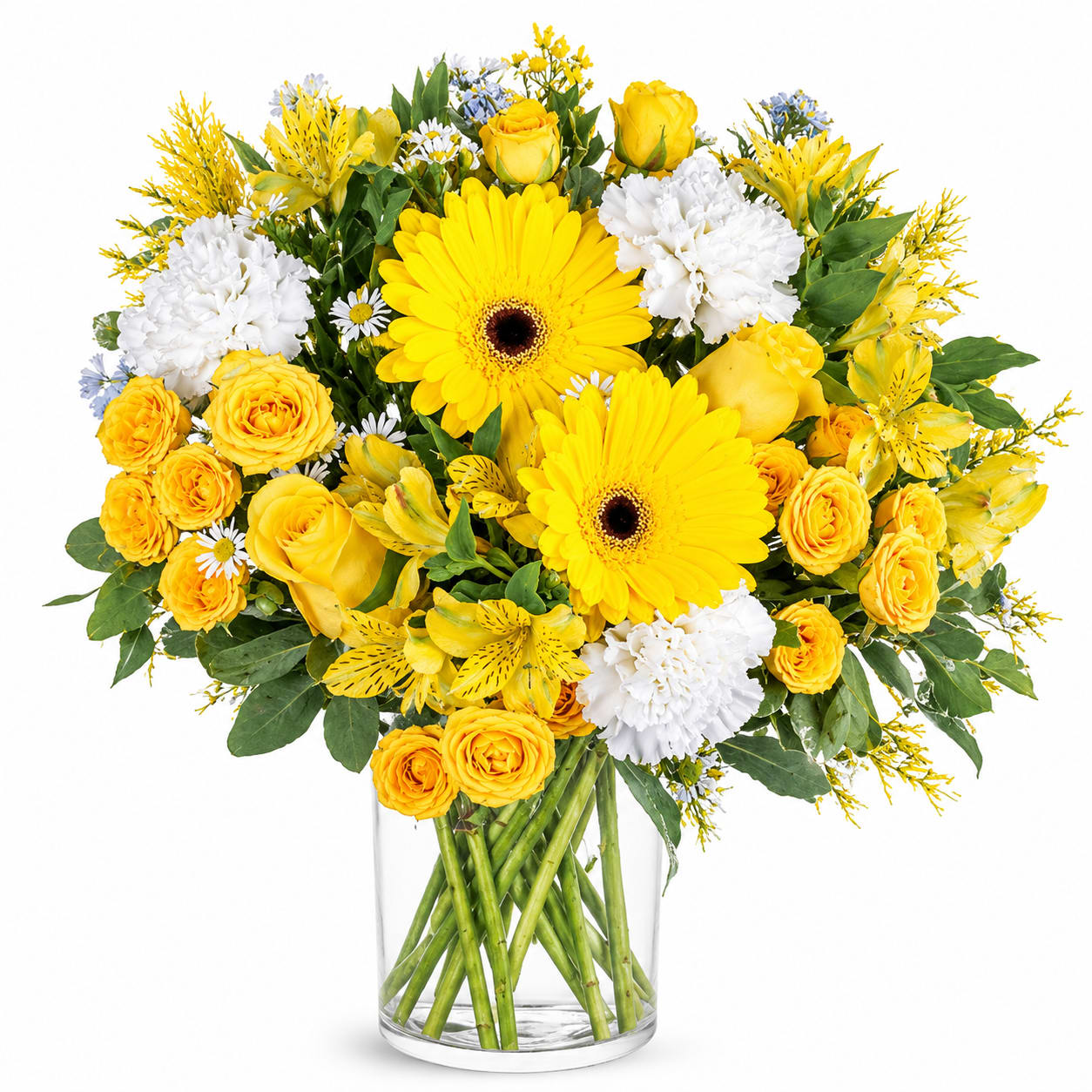 All Bright & Beautiful