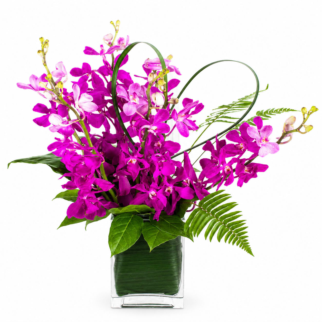 Purple Shower