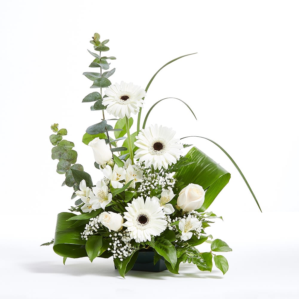 Graceful Moments for Sympathy