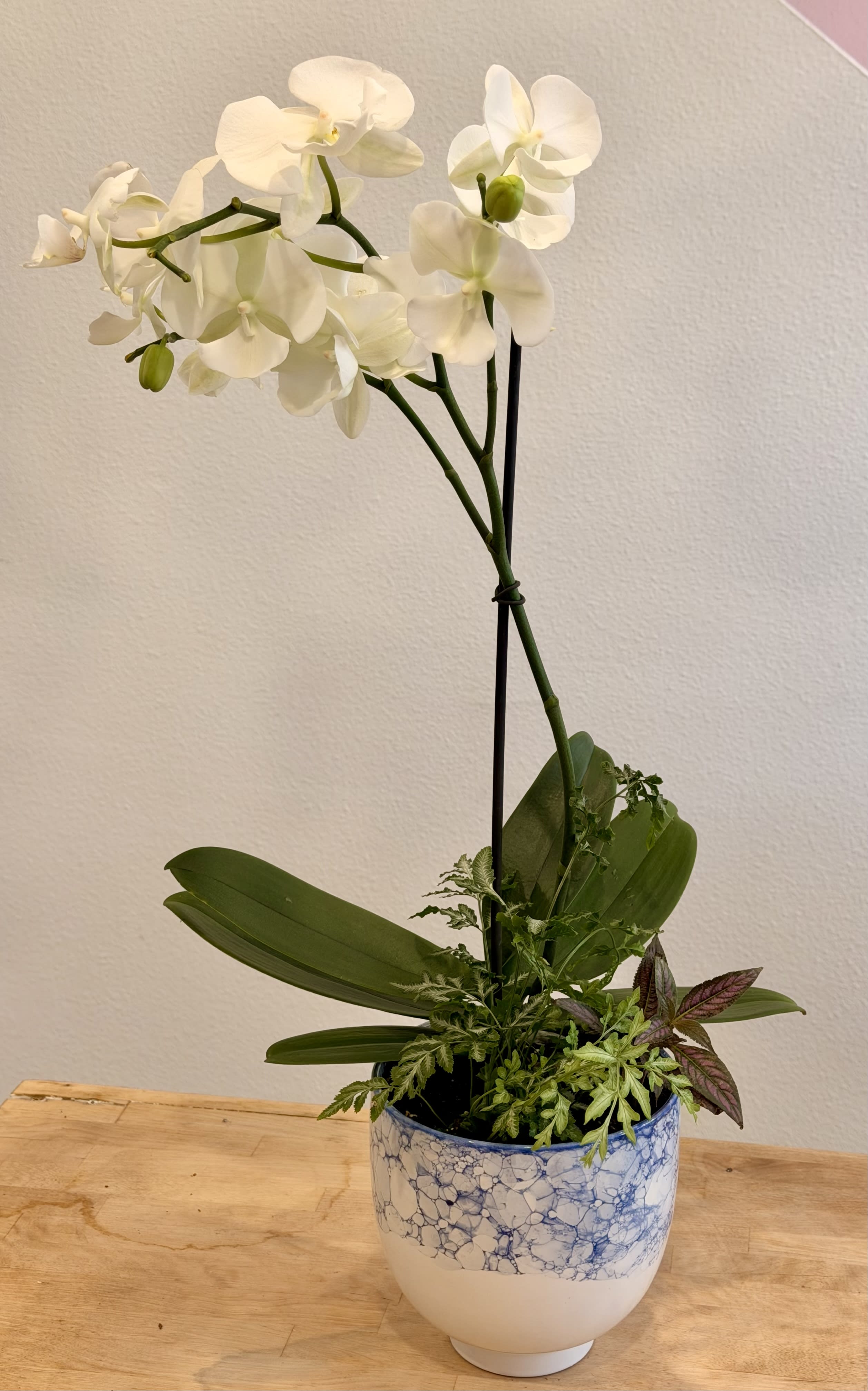 White Orchid Arrangement Flower Bouquet
