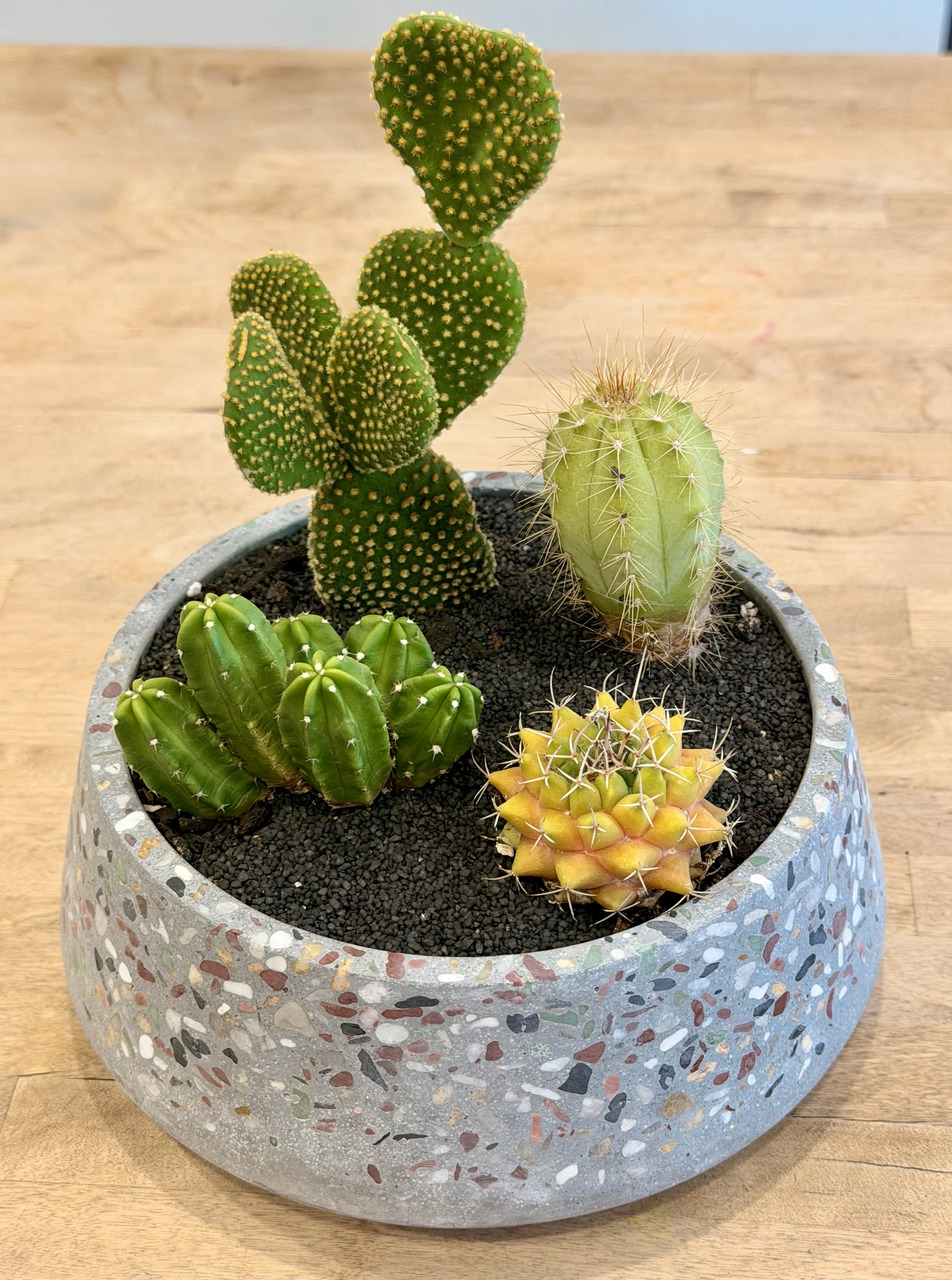 Cactus Terrarium Flower Bouquet