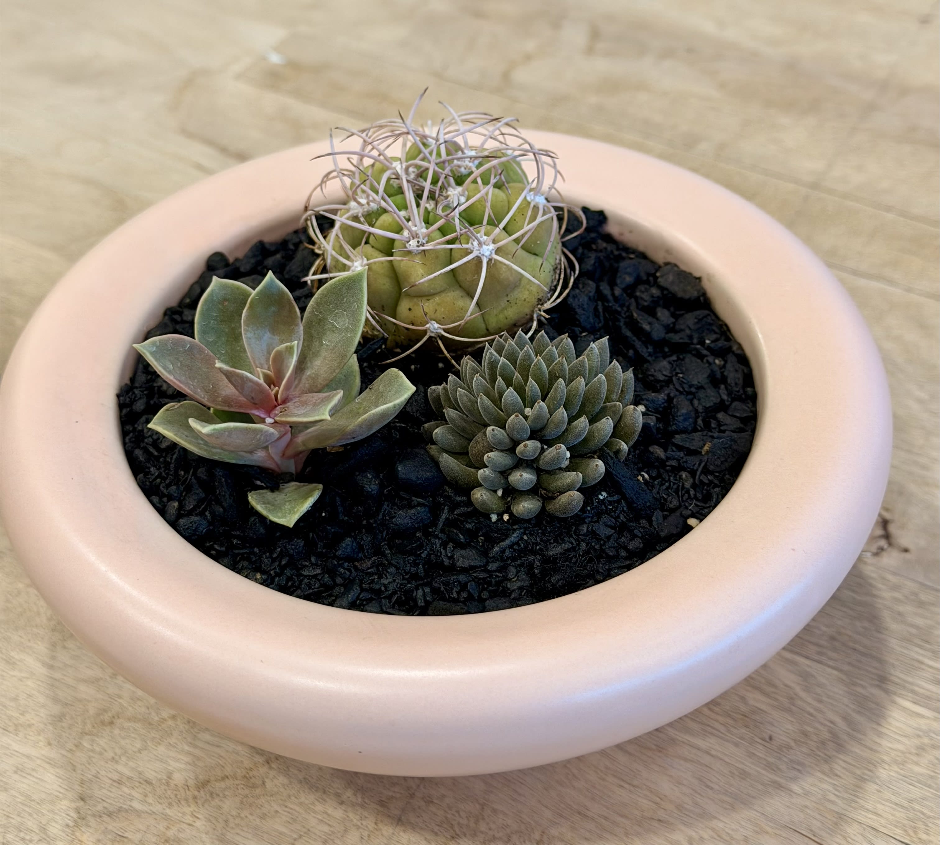 Succulent Nursery Pink Flower Bouquet