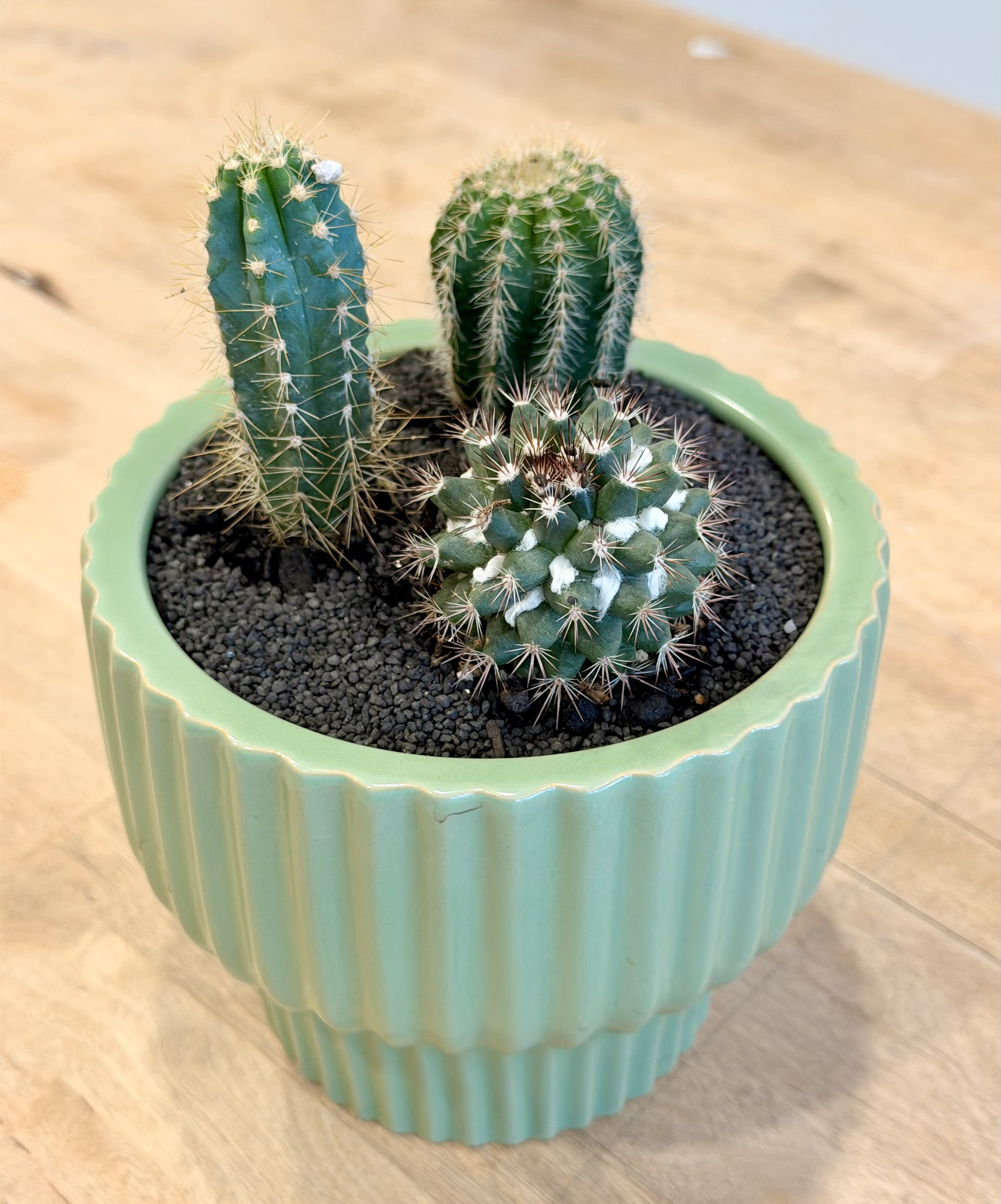 Small Cactus Garden Flower Bouquet