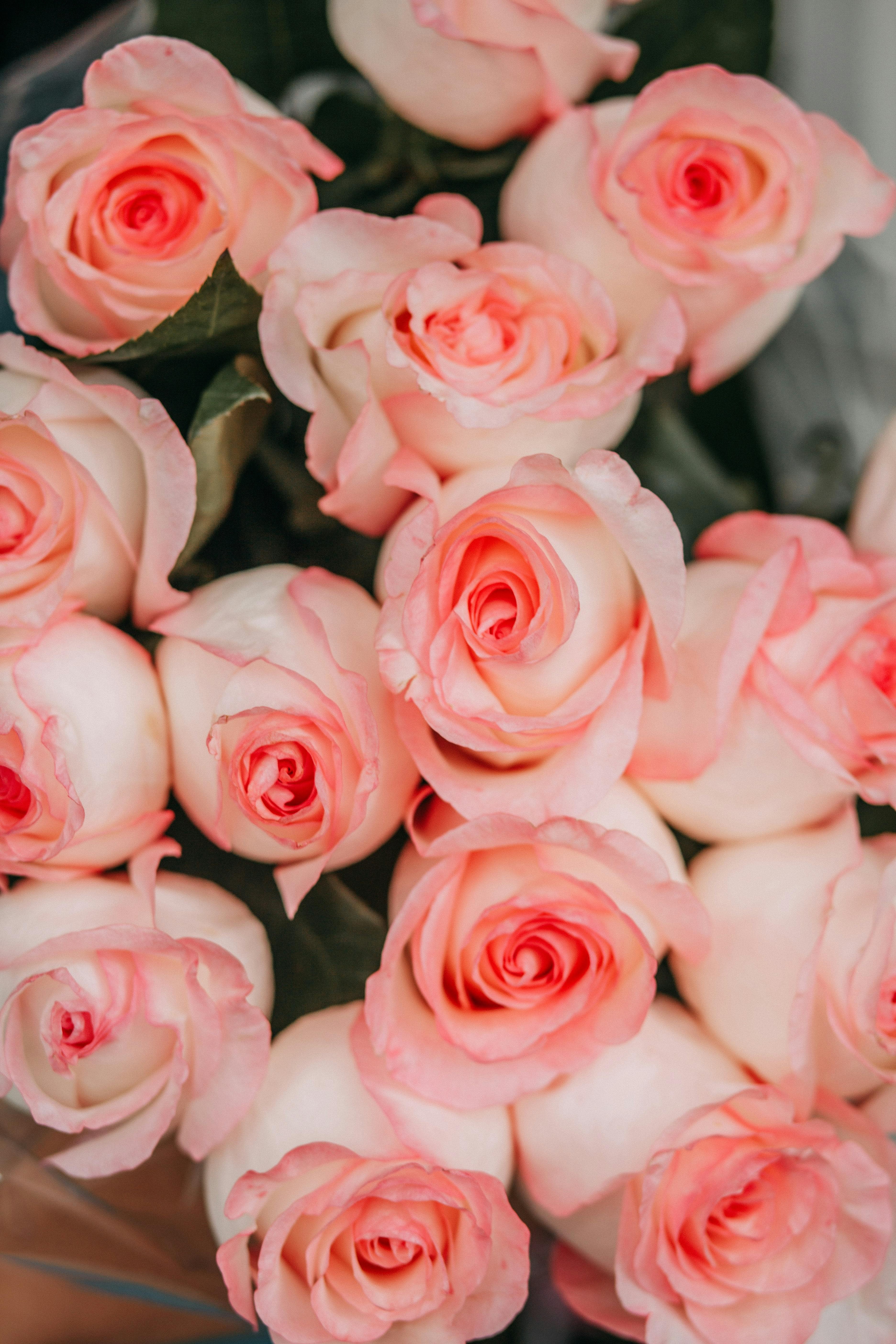 The Lena Roses Flower Bouquet