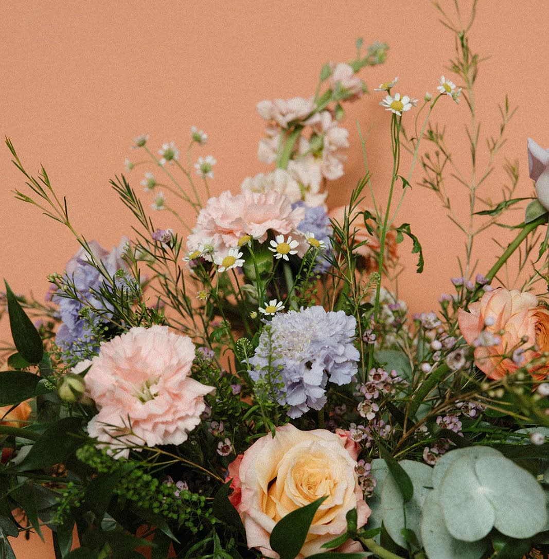 Tender Wild | Colourful