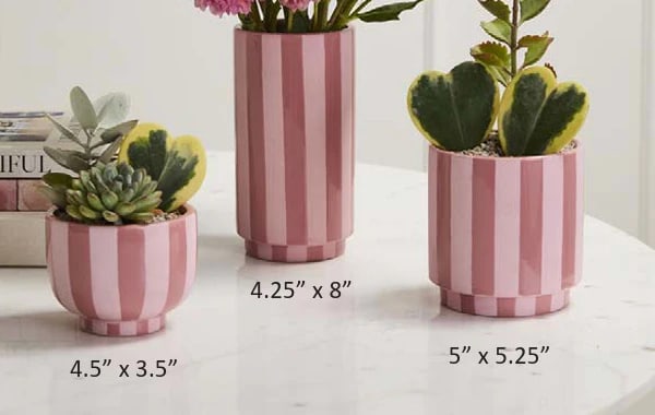 Pink Stripe Pot Flower Bouquet