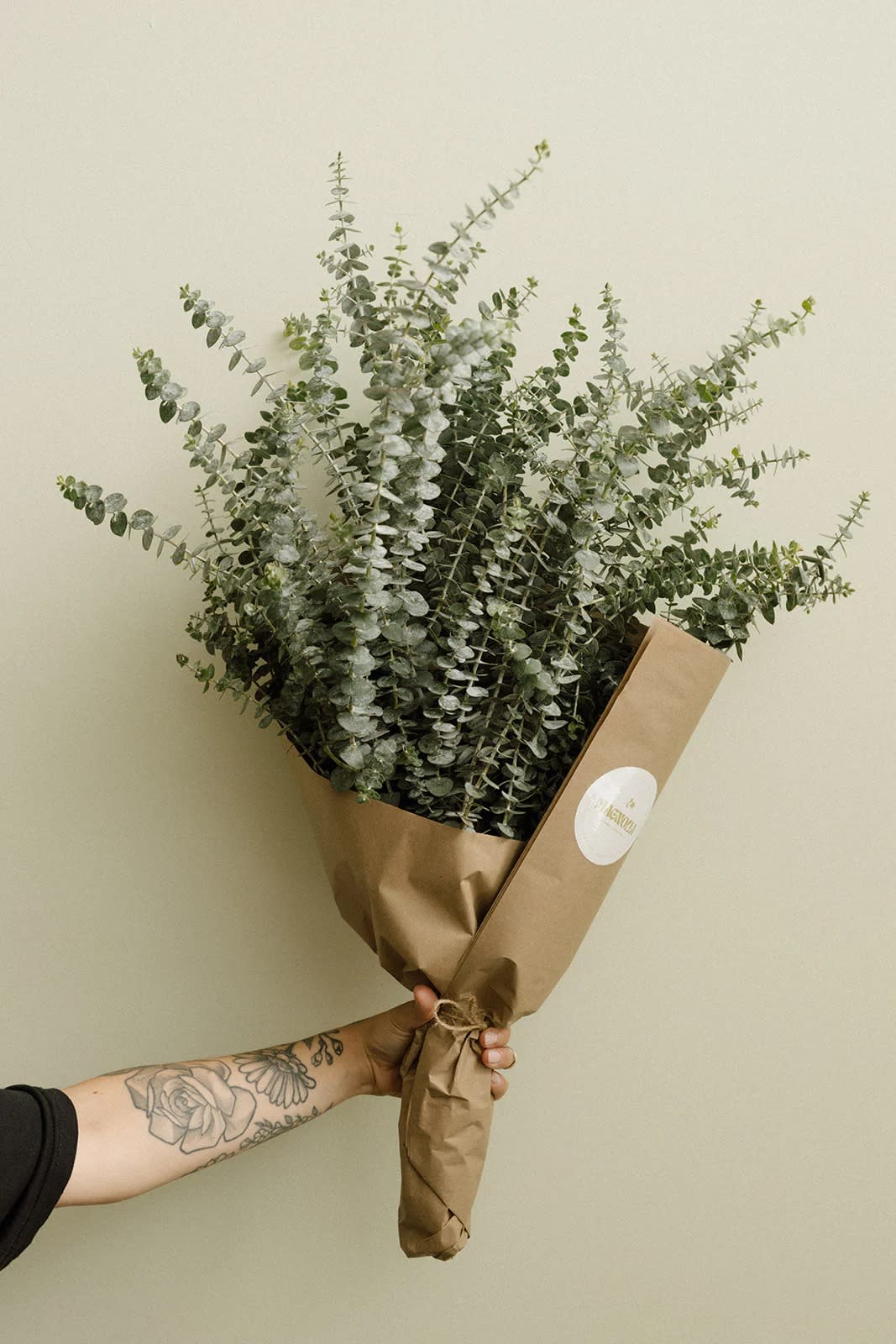 Eucalyptus