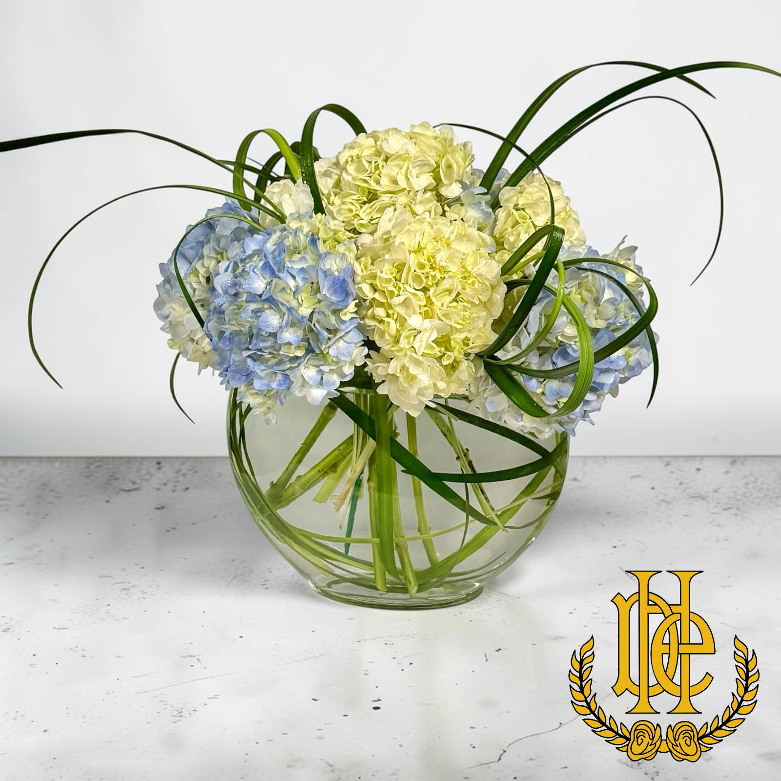 Hydrangea Harmony