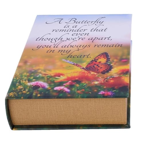 BUTTERFLY BOOK BOX LT BLUE/YLLW/GRN/ORANGE