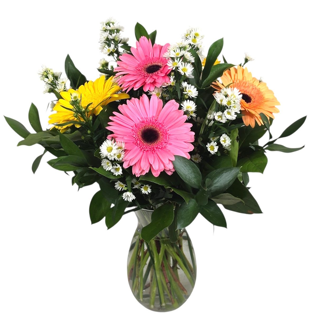 Fiesta Gerbers (Colors May Vary) Flower Bouquet