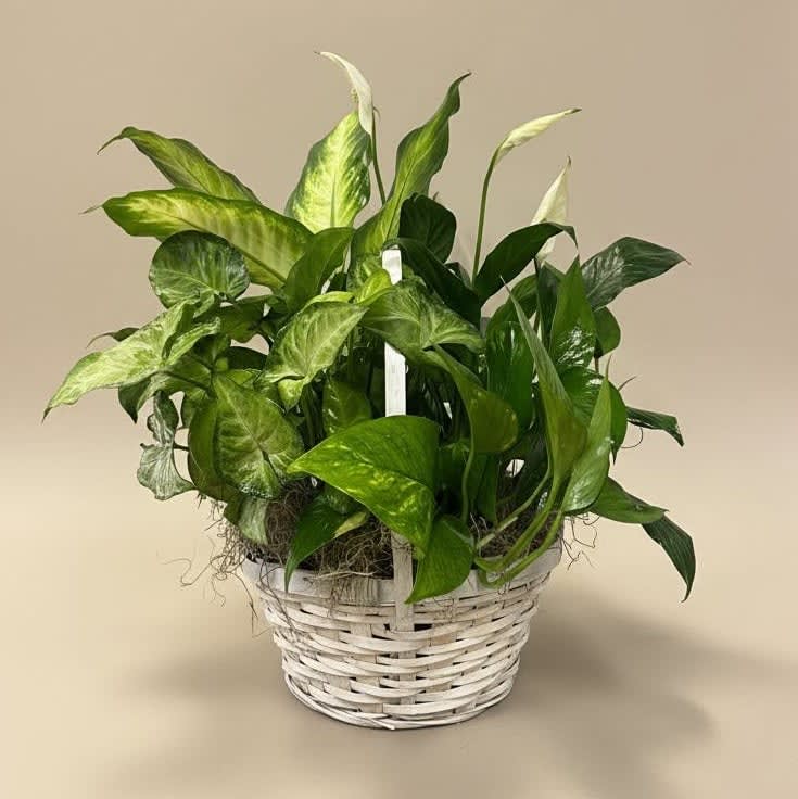 Basket Garden Flower Bouquet