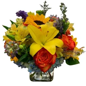 Bright and Beautiful