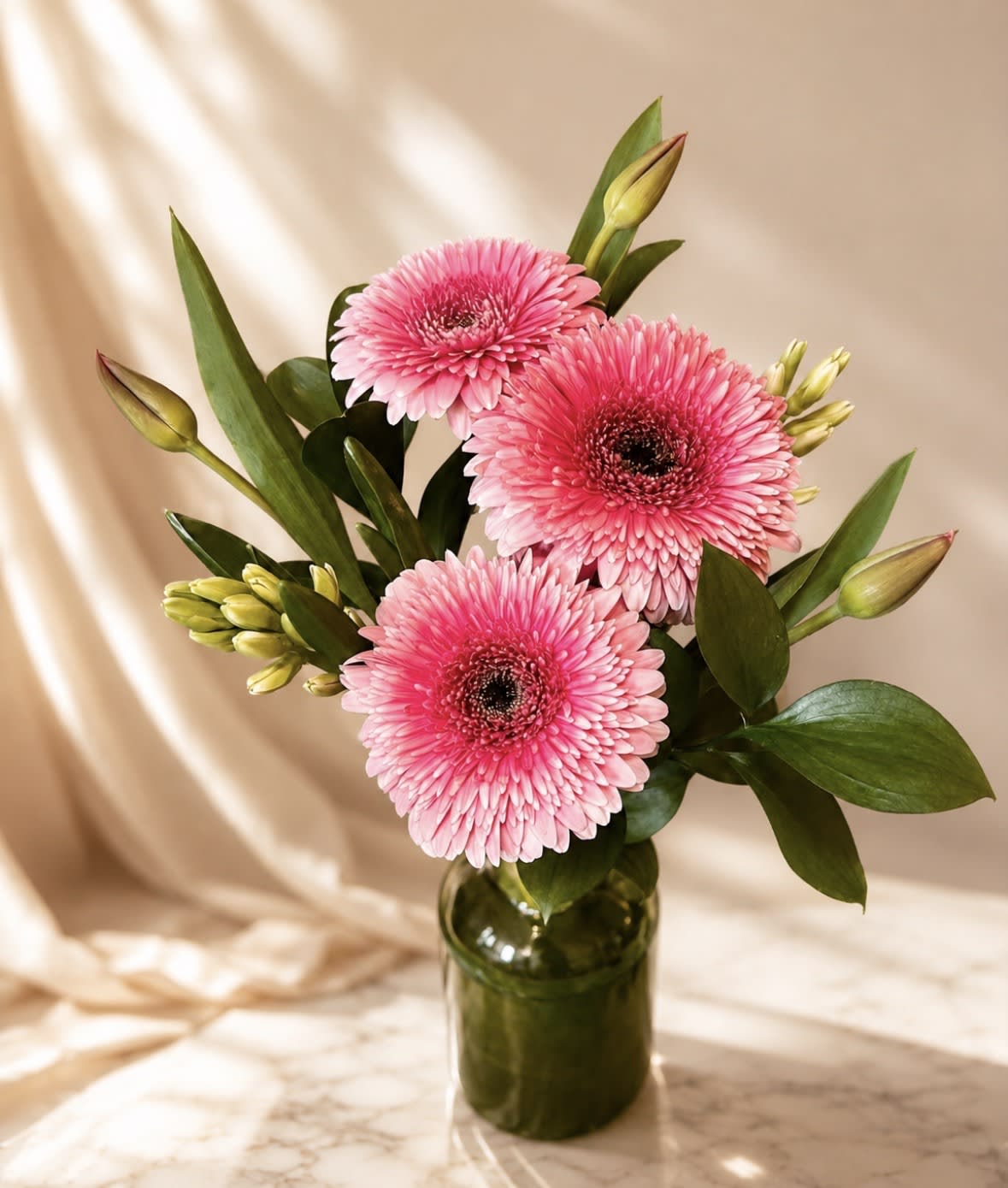 Spring Gerbera