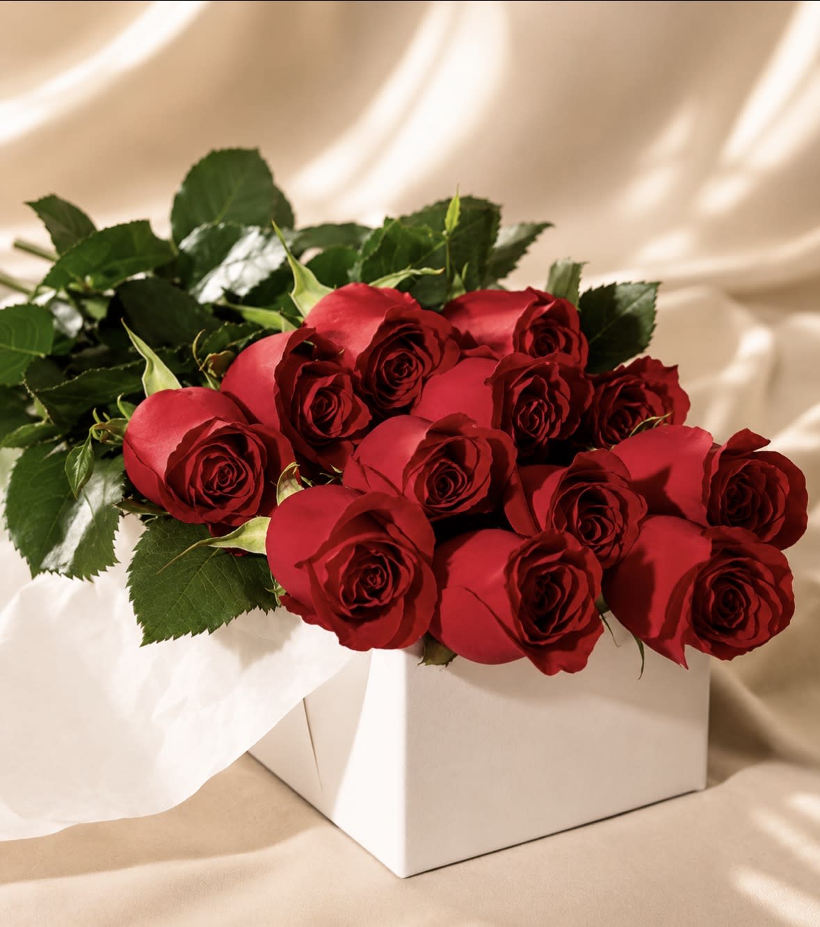 12 Red Roses in a Long Rose Box