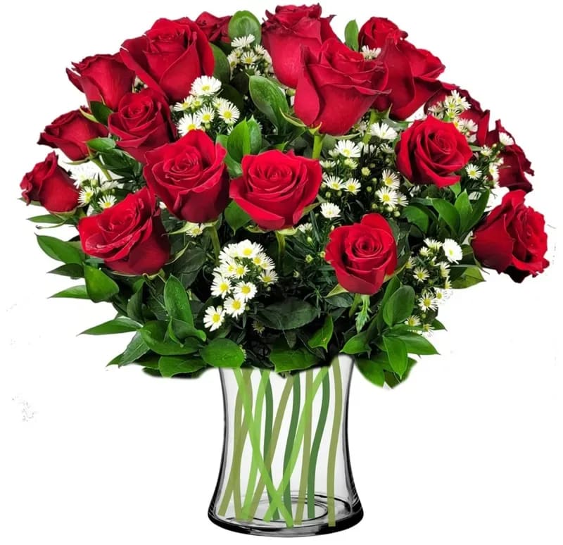 2 Dz red premium roses